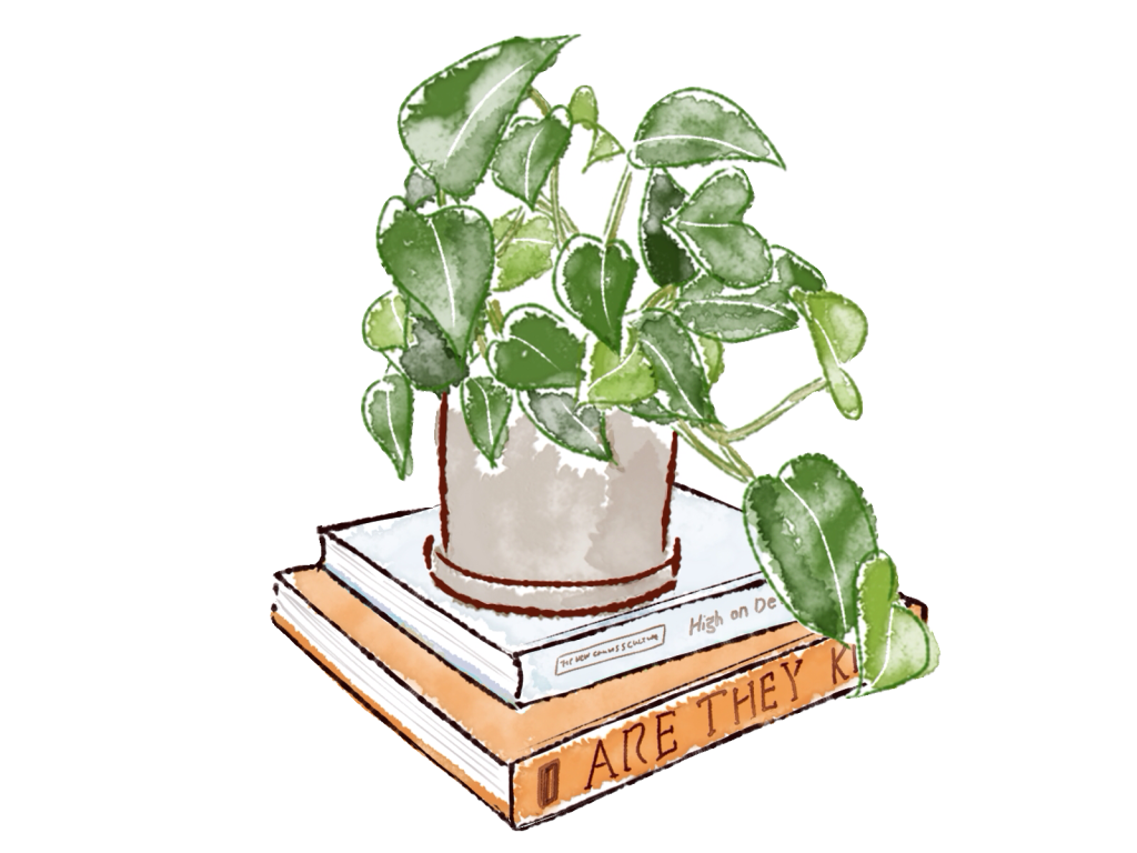 本の上に飾られた観葉植物の水彩イラスト